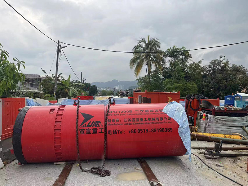 img of 馬來西亞 YSD1200